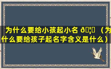 为什么要给小孩起小名 🦆 （为什么要给孩子起名字含义是什么）